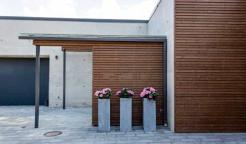 Termo pušies fasado dailylentės